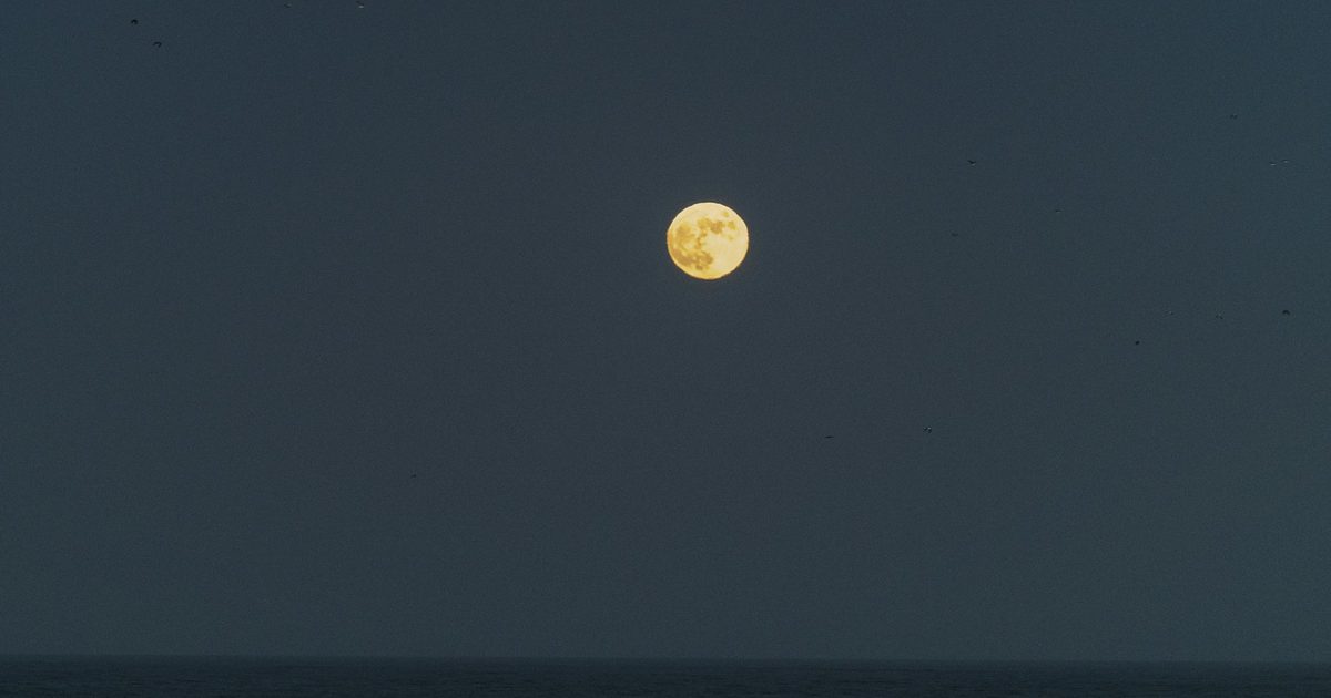A full moon over the ocean