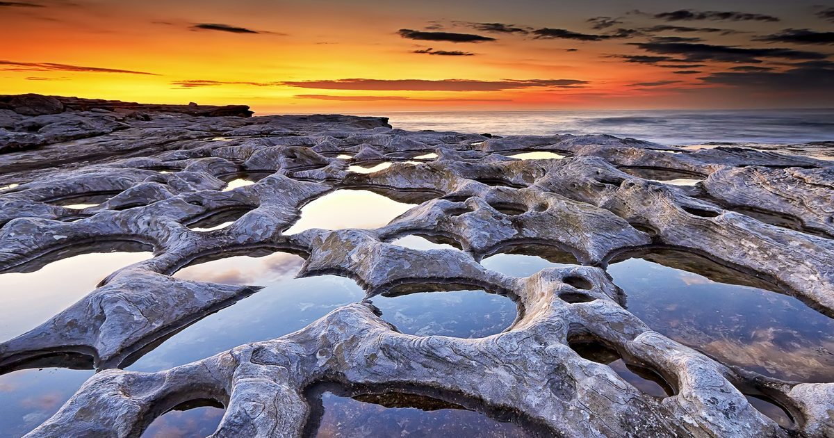 Rock pools exposed along a rocky shore at low tide